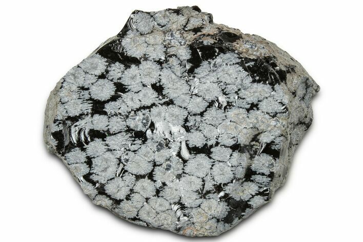 Snowflake Obsidian Section - Utah #327126